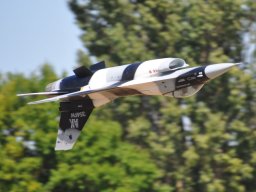 Flugtag 2022